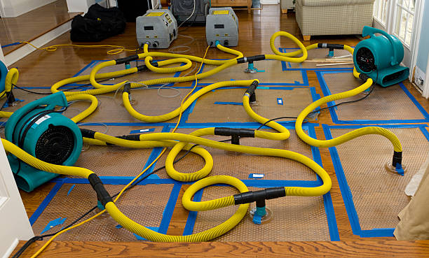 Professional Water Damage Repair technician working in Thorp, WA